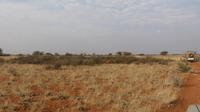 Kalahari Anib Lodge, game drive