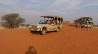 Kalahari Anib Lodge, game drive