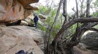 Wanderung auf dem Sevilla Rock Art Trail
