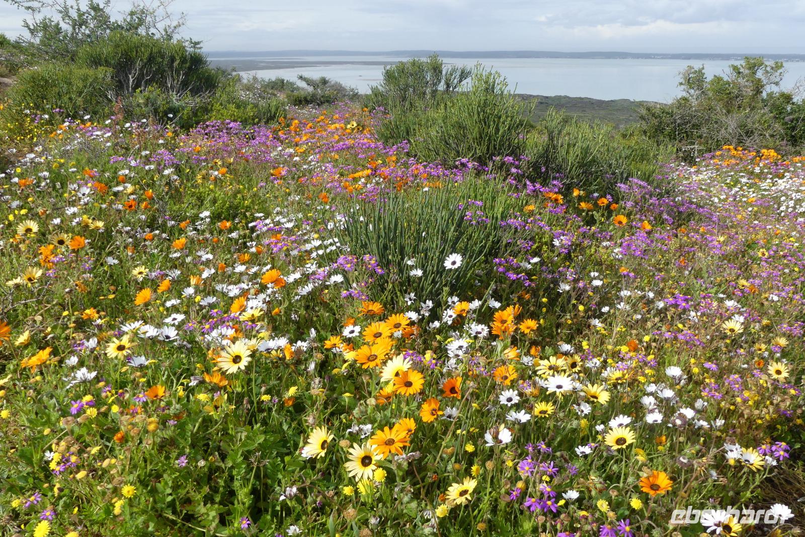 Westcoast Nationalpark