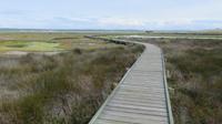 Westcoast Nationalpark, Langebaan-Lagune