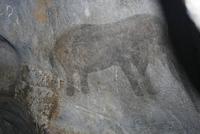 165IMG_1 (48)