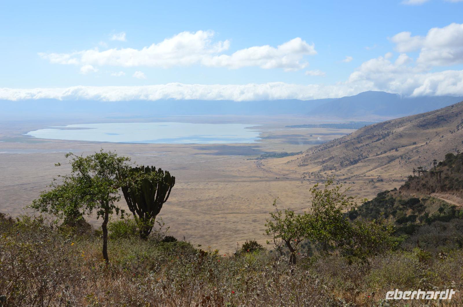 Ngorongoro
