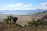 Ngorongoro