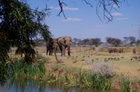 Mount Etjo Lodge im privaten Okonjati Wildreservat