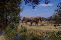 Mount Etjo Lodge im privaten Okonjati Wildreservat