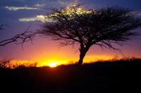 Sonnenuntergang in Namibia