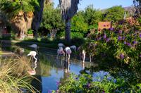 Mount Etjo Lodge im privaten Okonjati Wildreservat