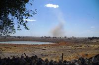 Etosha-Nationalpark - Wasserloch im Okaukuejo Camp