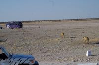 der Weg zum Wasser ist weit