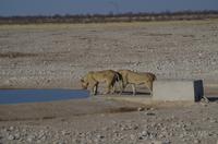 endlich die Erfrischung