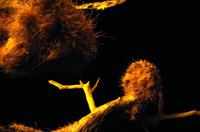 Okaukuejo Camp - Nachtstimmung