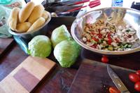 Unterwegs nach Rundu - Mittagspicknick