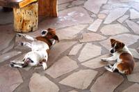 Unterwegs nach Rundu - Mittagspause