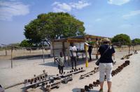 Unterwegs nach Rundu - Kawango-Holzschnitzer am Straßenrand