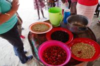 Besuch im Dorf von James Familie