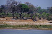 Mahangu Safari Lodge am Okawango - Aussicht von der Terrasse