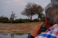 Bootsfahrt auf dem Okawango - Elefantentreffen