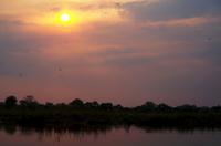 Bootsfahrt auf dem Okawango - Sonnenuntergang