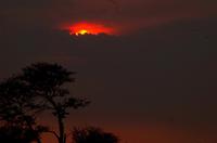 Bootsfahrt auf dem Okawango - Sonnenuntergang