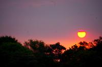 Bootsfahrt auf dem Okawango - Sonnenuntergang