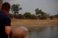 Bootsfahrt auf dem Okawango - Elefantentreffen