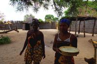 Besuch im Kulturdorf der Mashis - Mahango-Mais