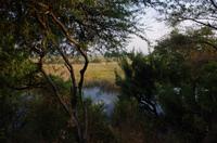 Namushasha River Lodge am Kwando - Blick von meiner Terrasse