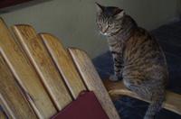 Namushasha River Lodge am Kwando - mein Mitbewohner