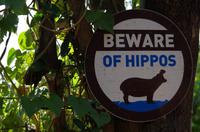 Namushasha River Lodge am Kwando - Spaziergang im Kwando-Delta