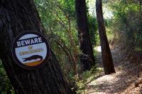 Namushasha River Lodge am Kwando - Spaziergang im Kwando-Delta