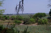 Namushasha River Lodge am Kwando - Spaziergang im Kwando-Delta