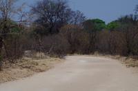 Namushasha River Lodge am Kwando - Spaziergang im Kwando-Delta