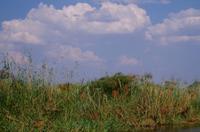 Bootsfahrt im Kwando-Delta