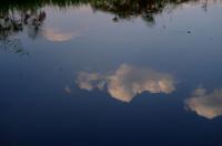 Bootsfahrt im Kwando-Delta - Spiegelung