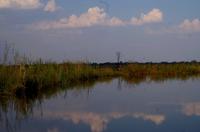Bootsfahrt im Kwando-Delta 