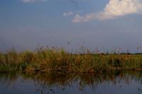 Bootsfahrt im Kwando-Delta 