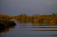 Bootsfahrt im Kwando-Delta -  Sundowner-Time