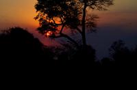 Bootsfahrt im Kwando-Delta -  Sonnenuntergang