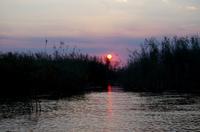 Bootsfahrt im Kwando-Delta -  Sonnenuntergang