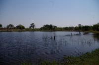 Abstecher nach Sangwali