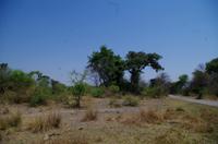 Abstecher nach Sangwali