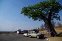 Auf nach Botswana - am Grenzbaum