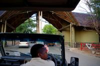 Botswana - morgendliche Safari im Chobe- Nationalpark