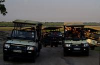 Chobe-Nationalpark - die anderen sind zu spät, grins.....