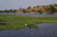 Bootsfahrt auf dem Chobe