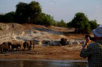Bootsfahrt auf dem Chobe - Elefanten