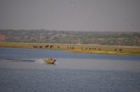 Bootsfahrt auf dem Chobe