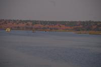 Bootsfahrt auf dem Chobe