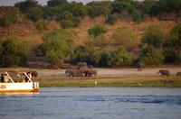 Bootsfahrt auf dem Chobe